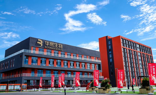 从玻尿酸到胶原蛋白 华熙生物的二次突围与成功复制挑战